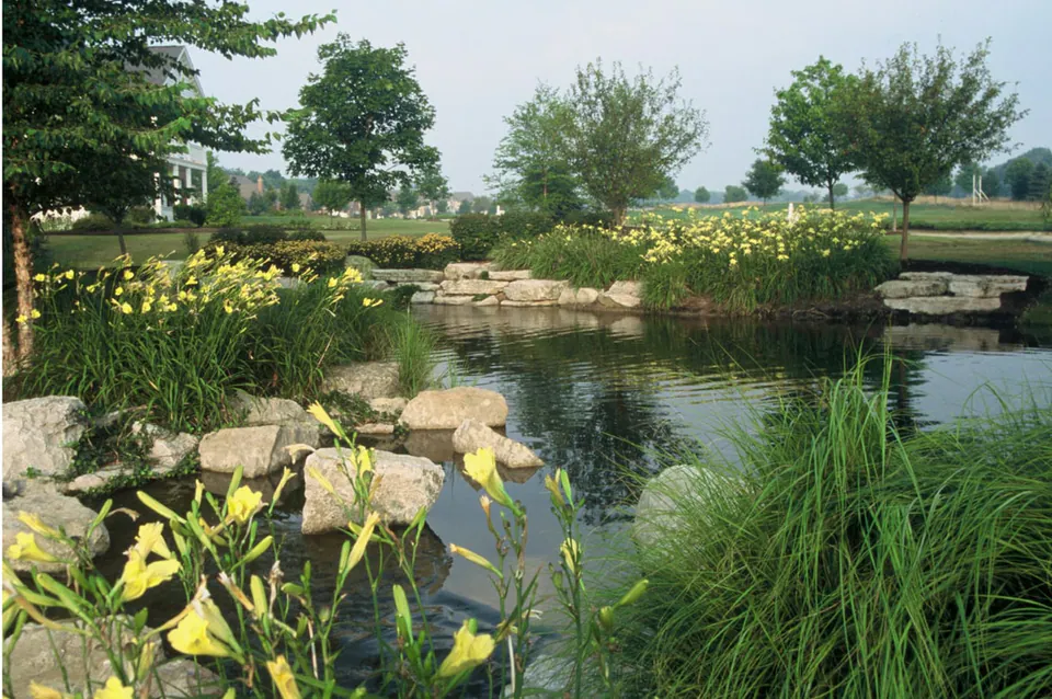 Yellow daylilies and tall grasses in the foreground of a pond with stone outcrops and a planted bank